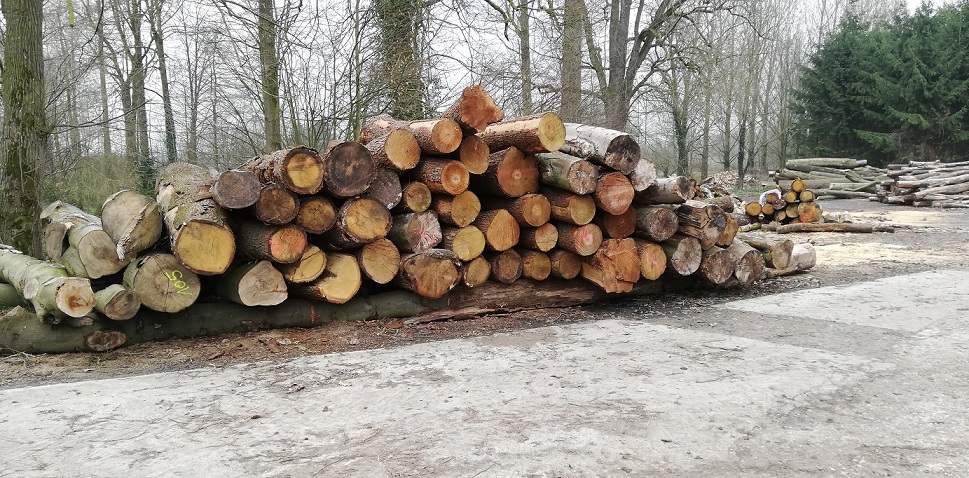 Holzstapel